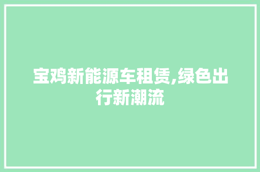 宝鸡新能源车租赁,绿色出行新潮流