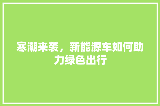 寒潮来袭，新能源车如何助力绿色出行  第1张