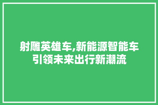 射雕英雄车,新能源智能车引领未来出行新潮流