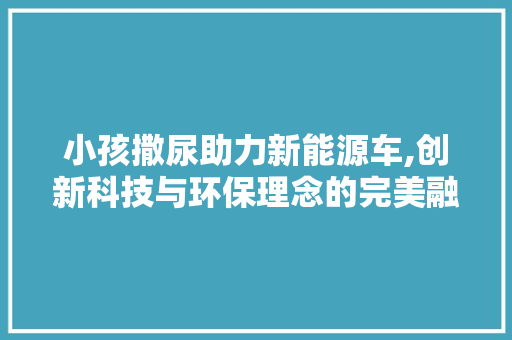 小孩撒尿助力新能源车,创新科技与环保理念的完美融合