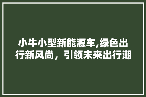 小牛小型新能源车,绿色出行新风尚，引领未来出行潮流