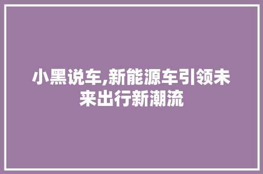 小黑说车,新能源车引领未来出行新潮流