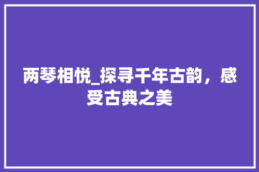 两琴相悦_探寻千年古韵，感受古典之美