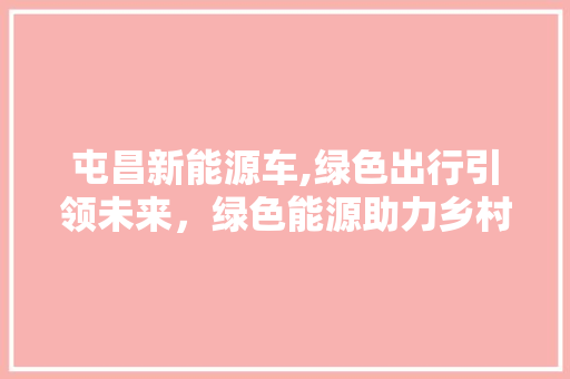 屯昌新能源车,绿色出行引领未来，绿色能源助力乡村振兴