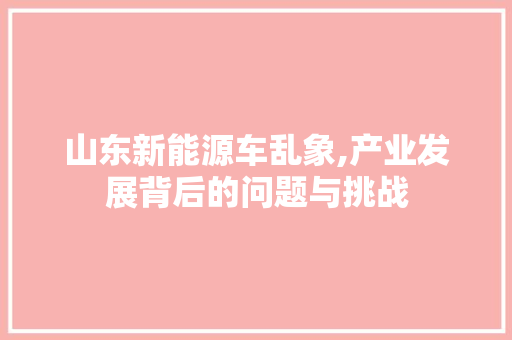 山东新能源车乱象,产业发展背后的问题与挑战