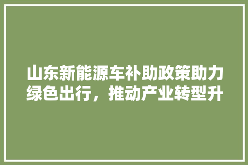 山东新能源车补助政策助力绿色出行，推动产业转型升级