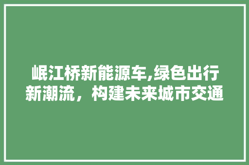 岷江桥新能源车,绿色出行新潮流，构建未来城市交通新格局