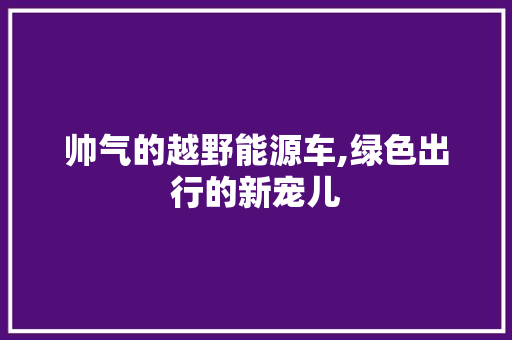 帅气的越野能源车,绿色出行的新宠儿