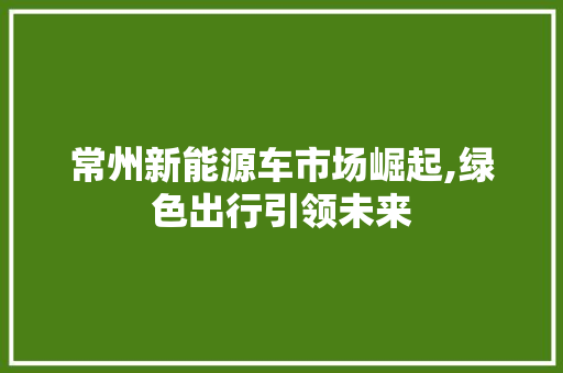 常州新能源车市场崛起,绿色出行引领未来