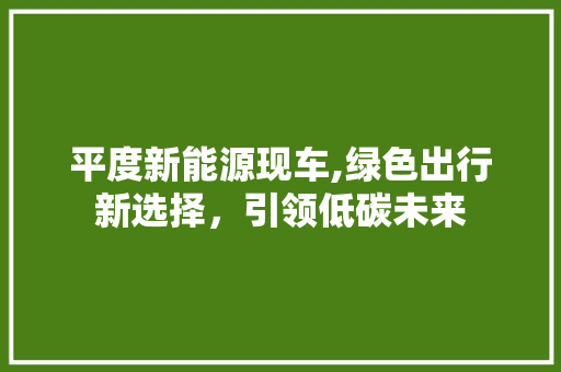 平度新能源现车,绿色出行新选择，引领低碳未来  第1张