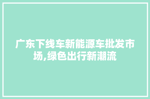 广东下线车新能源车批发市场,绿色出行新潮流