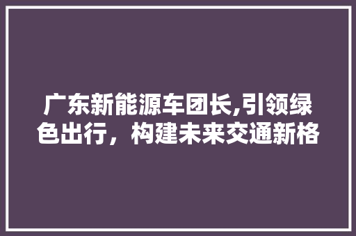 广东新能源车团长,引领绿色出行，构建未来交通新格局