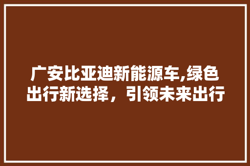 广安比亚迪新能源车,绿色出行新选择，引领未来出行潮流