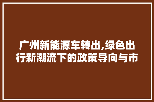 广州新能源车转出,绿色出行新潮流下的政策导向与市场响应