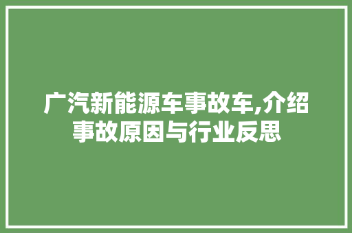 广汽新能源车事故车,介绍事故原因与行业反思