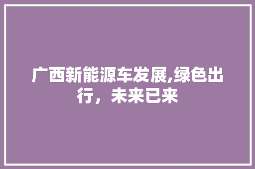 广西新能源车发展,绿色出行，未来已来