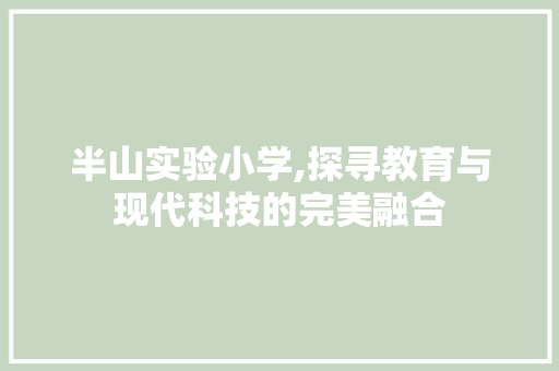 半山实验小学,探寻教育与现代科技的完美融合