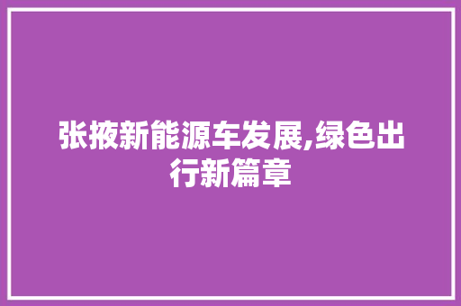 张掖新能源车发展,绿色出行新篇章