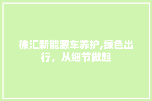 徐汇新能源车养护,绿色出行，从细节做起  第1张