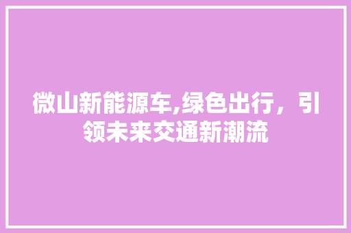 微山新能源车,绿色出行，引领未来交通新潮流