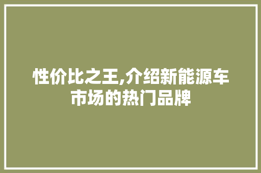 性价比之王,介绍新能源车市场的热门品牌