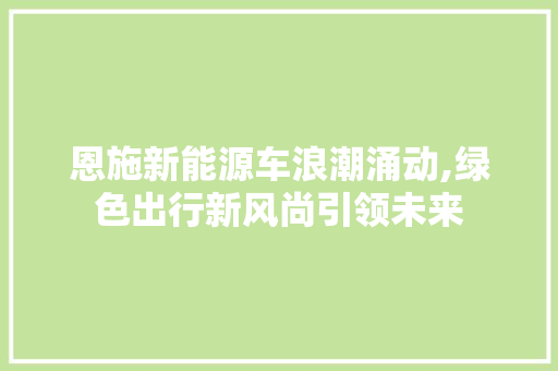 恩施新能源车浪潮涌动,绿色出行新风尚引领未来  第1张