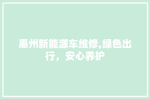 惠州新能源车维修,绿色出行，安心养护