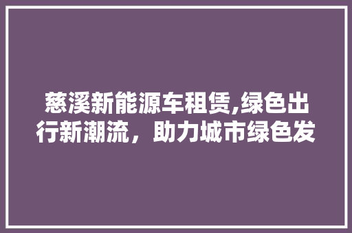 慈溪新能源车租赁,绿色出行新潮流，助力城市绿色发展