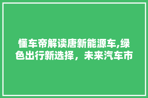 懂车帝解读唐新能源车,绿色出行新选择，未来汽车市场新风向标