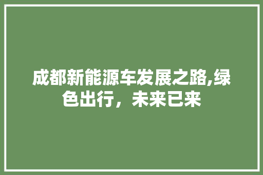 成都新能源车发展之路,绿色出行，未来已来