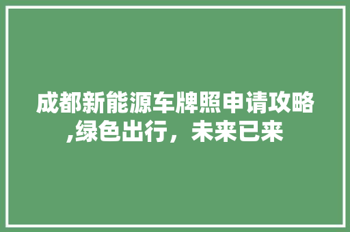 成都新能源车牌照申请攻略,绿色出行，未来已来  第1张