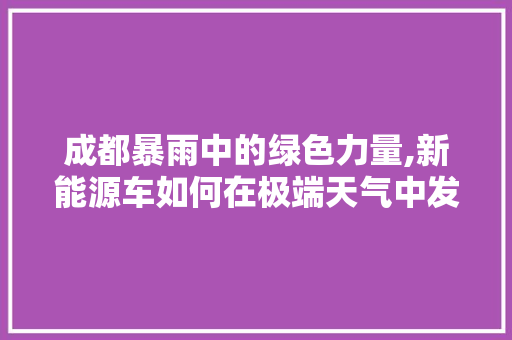 成都暴雨中的绿色力量,新能源车如何在极端天气中发挥关键作用