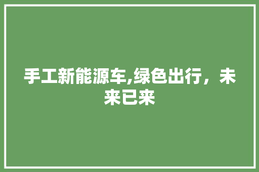 手工新能源车,绿色出行，未来已来