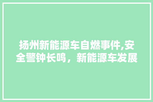 扬州新能源车自燃事件,安全警钟长鸣，新能源车发展需提速安全配套