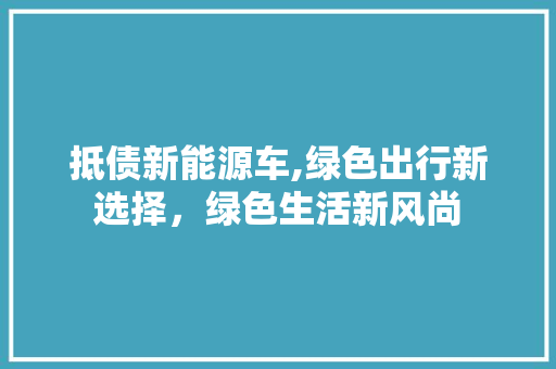 抵债新能源车,绿色出行新选择，绿色生活新风尚