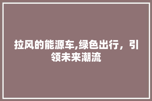 拉风的能源车,绿色出行，引领未来潮流