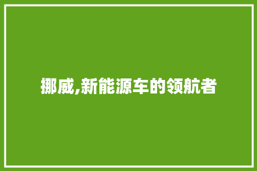 挪威,新能源车的领航者