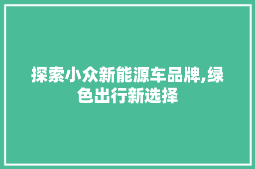 探索小众新能源车品牌,绿色出行新选择