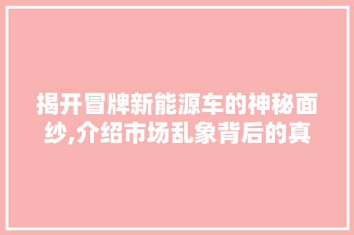 揭开冒牌新能源车的神秘面纱,介绍市场乱象背后的真相  第1张