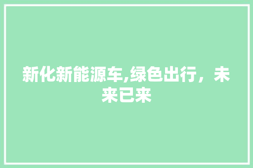 新化新能源车,绿色出行，未来已来