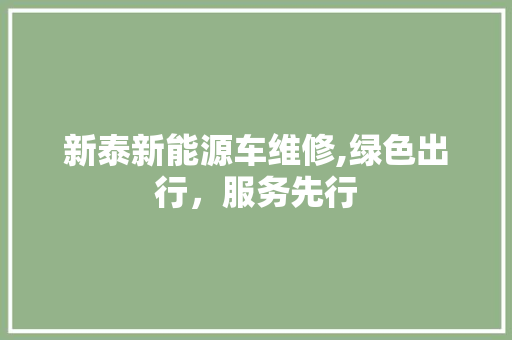 新泰新能源车维修,绿色出行，服务先行