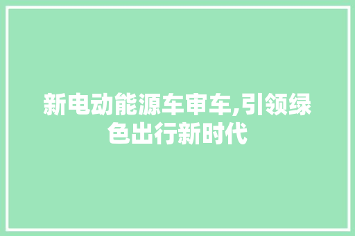 新电动能源车审车,引领绿色出行新时代