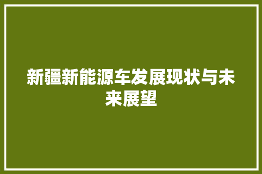 新疆新能源车发展现状与未来展望