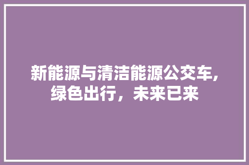 新能源与清洁能源公交车,绿色出行，未来已来