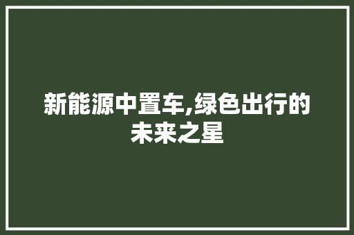 新能源中置车,绿色出行的未来之星