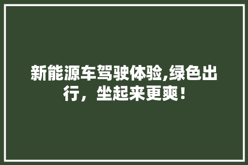 新能源车驾驶体验,绿色出行，坐起来更爽！