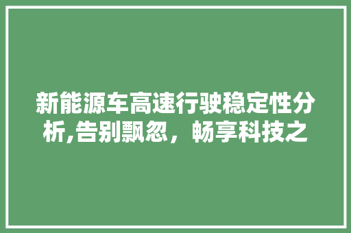 新能源车高速行驶稳定性分析,告别飘忽，畅享科技之旅