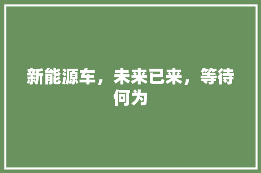 新能源车，未来已来，等待何为