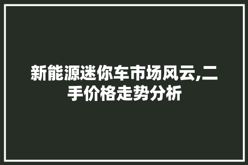 新能源迷你车市场风云,二手价格走势分析