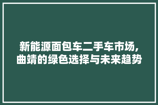 新能源面包车二手车市场,曲靖的绿色选择与未来趋势